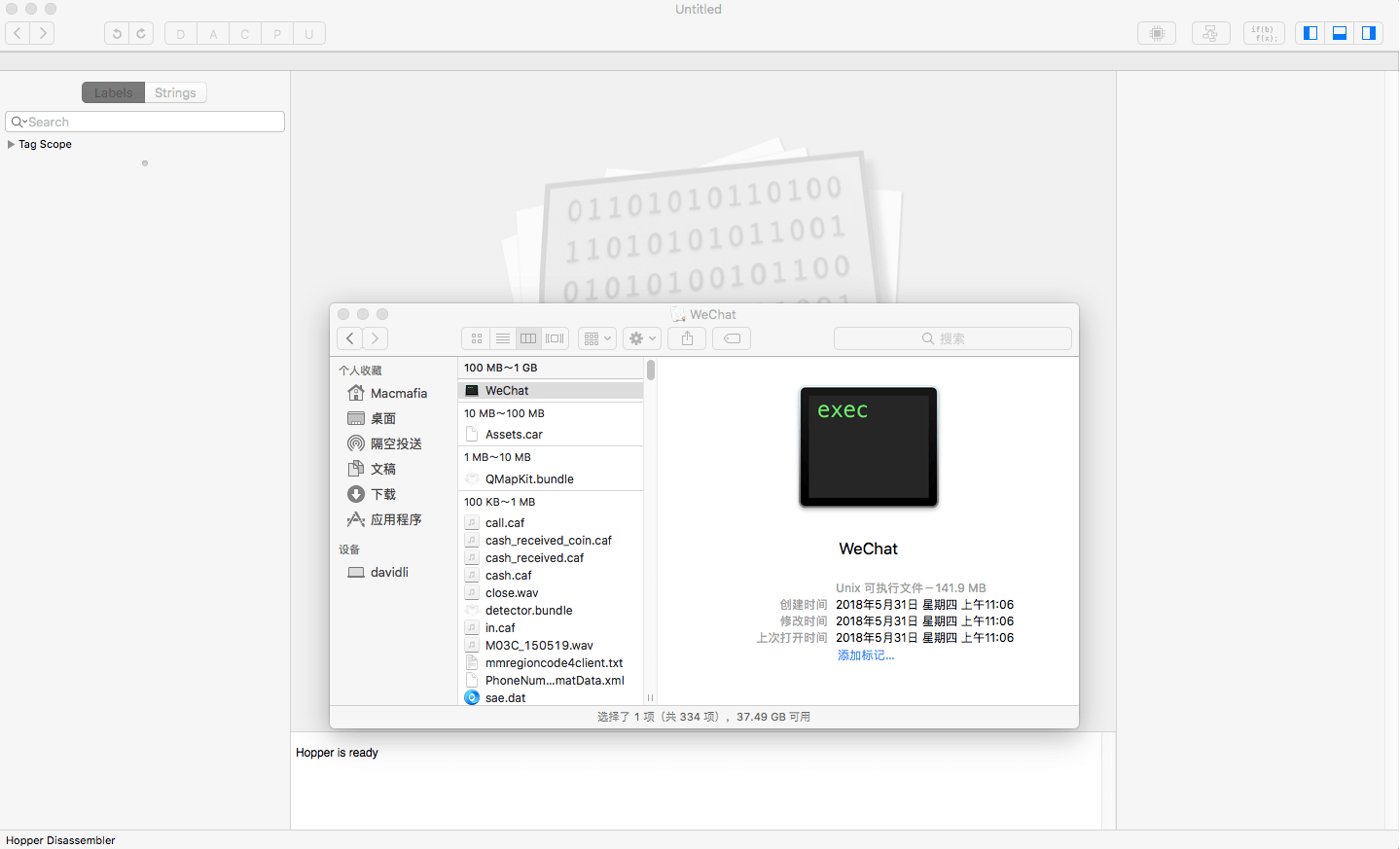 disassembler1